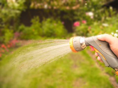 Watering the lawn with a sprayer on a hot summer evening - water shortage - Hosepipe ban