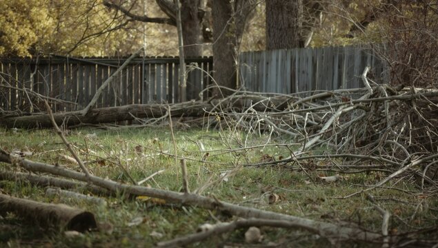 Messy backyard filled with fallen branches and logs requiring maintenance