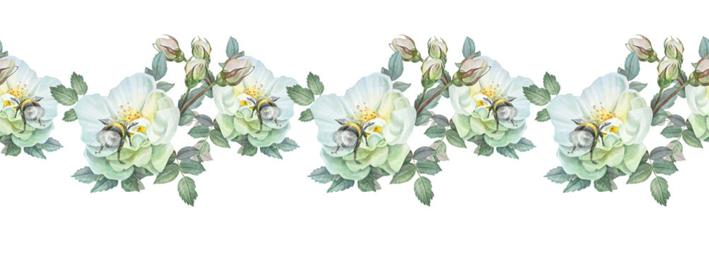 Watercolor seamless border with flower dog rose and bumblebee on white background. Hand-drawn summer branch with green leaves and wild rose hip. Botanical rim for sticker tea. Wallpaper or wrapping