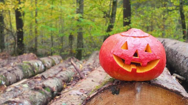 Smiling Halloween pumpkin sitting on tree logs in an autumn forest