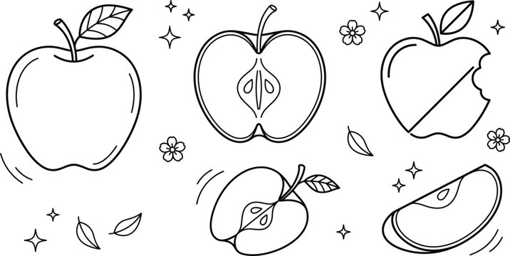 Apple fruit coloring page vector set with half cut sliced bitten elements doodle line art linear outline illustration