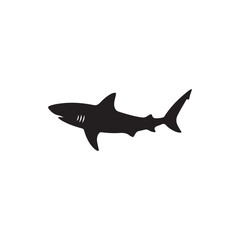 Obraz premium Lost shark in pool silhouette icon vector flat design.