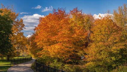 Obraz premium Vibrant Autumn Foliage Along a Winding Path in a Scenic Park