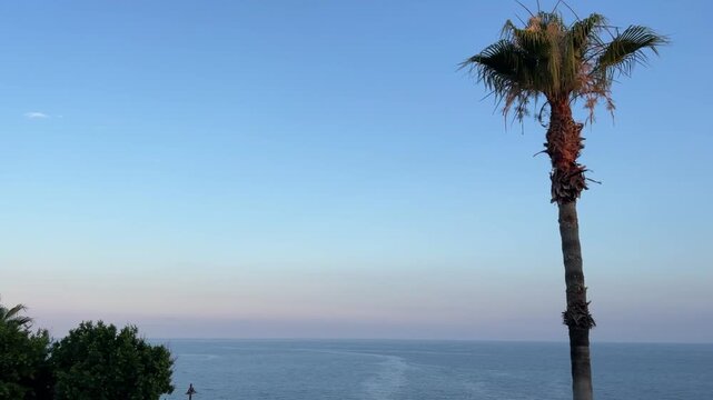 Palm tree and calm ocean at sunset, a tranquil coastal landscape with open sky and green lawn. For travel, resort, and lifestyle branding.