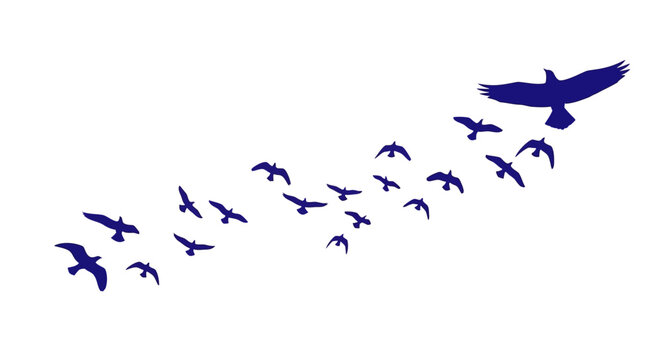 Migrating birds silhouette vector, blue flock of birds flying in formation, leadership and teamwork concept with eagle leading small birds