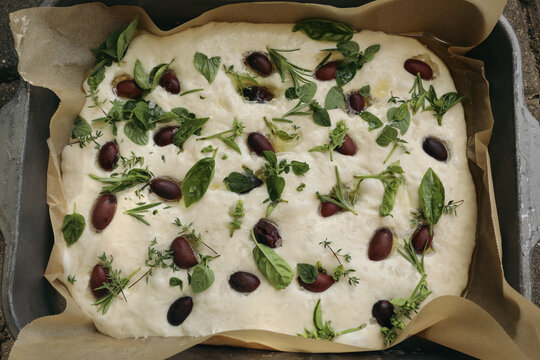 Raw Homemade Focaccia Dough with Kalamata Olives and Fresh Basil, Rosemary, Oregano, Thyme Herbs in Baking Tray. Rustic Italian Bread Ready for Baking, Top View Flatlay. Artisan Mediterranean Recipe