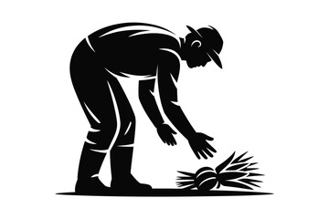 Fototapeta premium Black and white vector silhouette of an agricultural worker or jimador farmer bending down to harvest agave plants or crops in a farm field