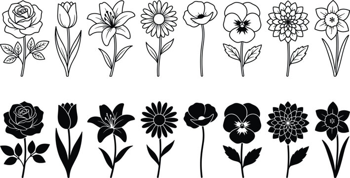 Flower Line Art and Silhouette Set with Rose Tulip Lily Daisy Poppy Dahlia and Daffodil Vector Icon Collection
