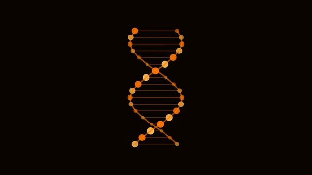 Orang DNA Double Helix Rotate Medical Animation Loop