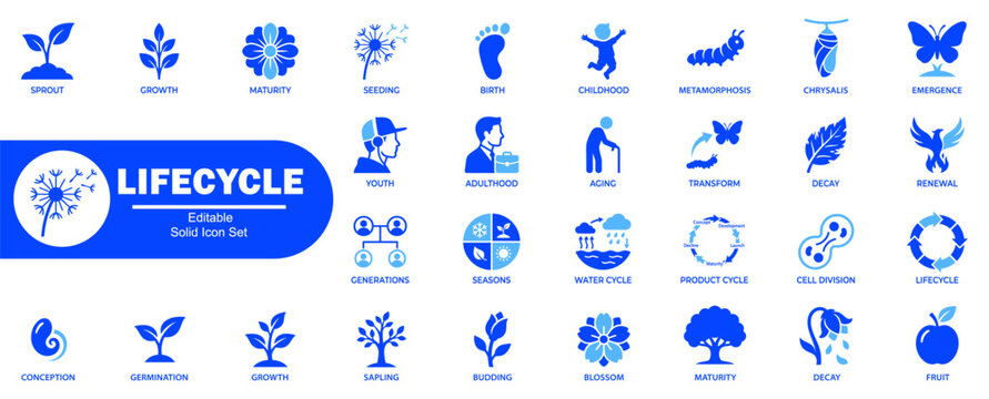 Lifecycle icon set. Showing biological and natural development stages, growth, maturity, aging, and reproduction in plant and animal life. Editable Stock. Vector Illustration.