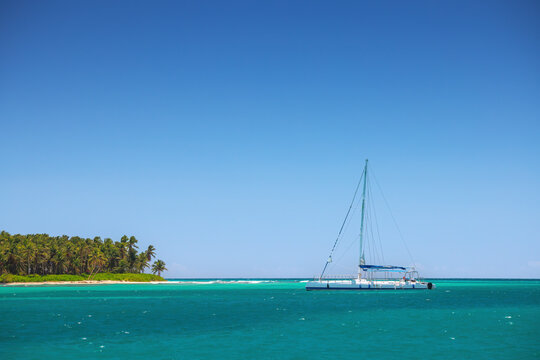 White catamaran yacht in turquoise water near tropical palm island  Dominican republic Punta Cana