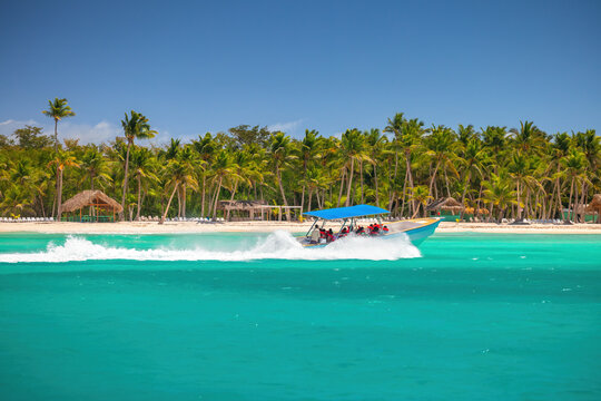 Tourists riding on a fast speedboat in turquoise water near tropical palm beach  Dominican republic caribbean island