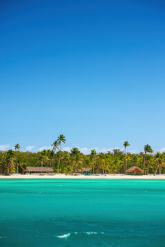 Tropical paradise beach with turquoise water and palm trees isolated under blue sky  Dominican republic