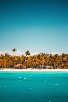 Tropical paradise beach with turquoise water and palm trees in Saona Island  Dominican republic