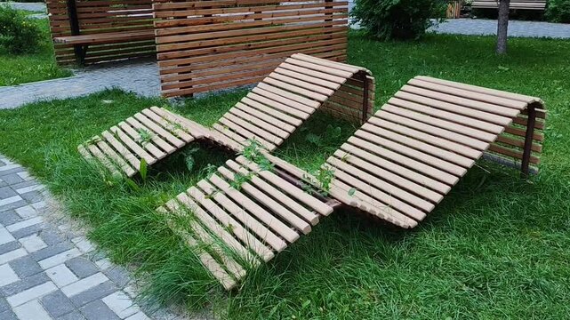Wooden lounge chairs in a park with greenery and natural environment
