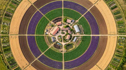 Naklejka premium Aerial View of Organized Community Allotment Garden Plots Sustainable Urban Growing Environmental