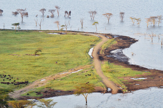 Kenya, Lake Nakuru National Park, flooded landscape over the Park