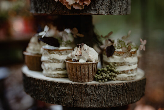 Naked cupcakes on a wood slice stand in the forest