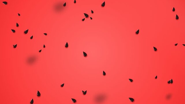 Abstract watermelon seeds falling in a seamless loop animation against a vibrant red texture background with soft shadows for a fresh summer food design or healthy diet concept
