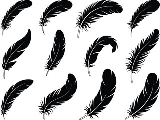 Set of black bird feather silhouettes in various shapes and sizes with silhouette collection isolated decoration ornament blackwork stylized illustration abstract composition wildlife © MstAsmaAkter