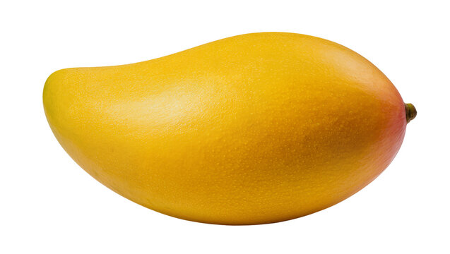 Isolated ripe mango fruit with vibrant yellow and orange skin, fresh tropical produce