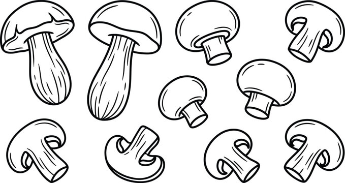 Edible Mushroom Hand Drawn Outline Vector Set featuring Whole Porcini, Button Champignons, and Fresh Cut Organic Slices for Culinary Cooking Designs
