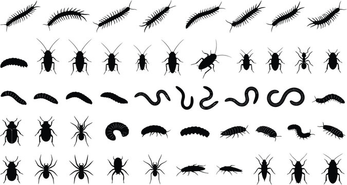 Creepy crawling insect vector asset featuring high quality silhouettes of centipedes beetles spiders and worms
