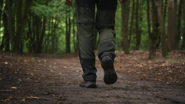 Slow motion low angle gimbal follow shot of man walking along dirt trail through shaded deciduous forest. Cinematic tracking footage of hiking, woodland adventure and outdoor recreation in summer