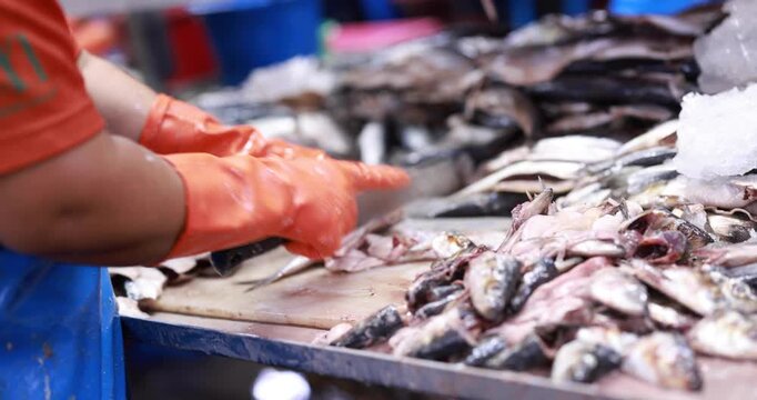 Food manufacturing industry. Worker working in canned food factory. Food industry. Canned fish factory. Worker's hand holding sardine to cutting head. Worker in food processing production line.