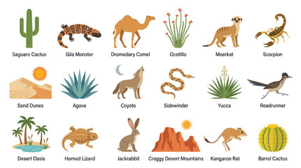 Obraz premium Desert Wildlife and Plants: Saguaro, Coyote, Scorpion, Camel, Lizard, Cactus, Flat Art