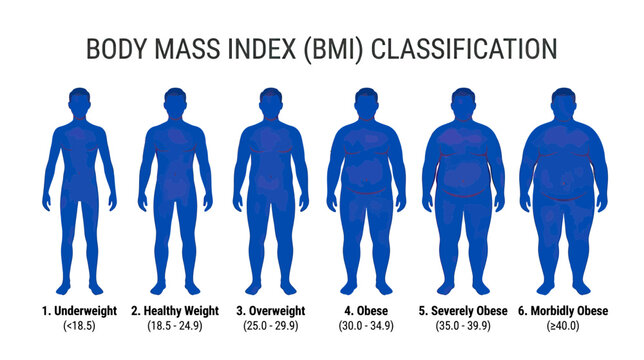 Body Mass Index BMI Classification Chart with Human Silhouettes