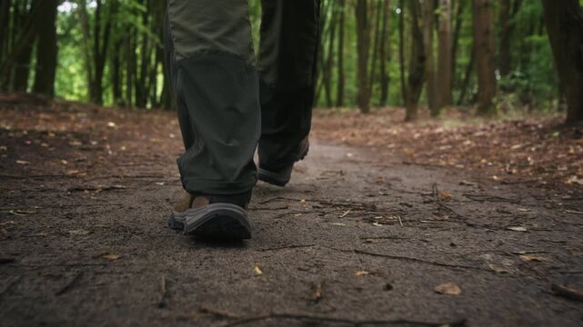 Low angle slow motion footage of man walking along natural dirt trail in leafy deciduous forest. Smooth gimbal follow shot illustrating hiking, woodland travel, active lifestyle and outdoor recreation