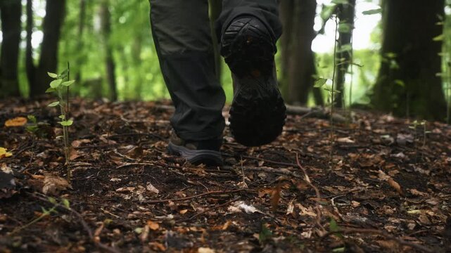 Cinematic tracking shot following man walking through deciduous woodland covered with fallen leaves. Smooth low angle camera movement passing tree trunks during hiking, nature exploration outdoors