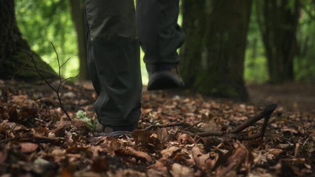 Low angle slow motion footage of man hiking across forest floor covered with decomposing leaves in shaded deciduous forest. Smooth gimbal follow shot of woodland travel and active outdoor lifestyle