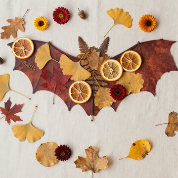 autumn-inspired bat made from dried leaves and orange slices on neutral background for halloween decoration