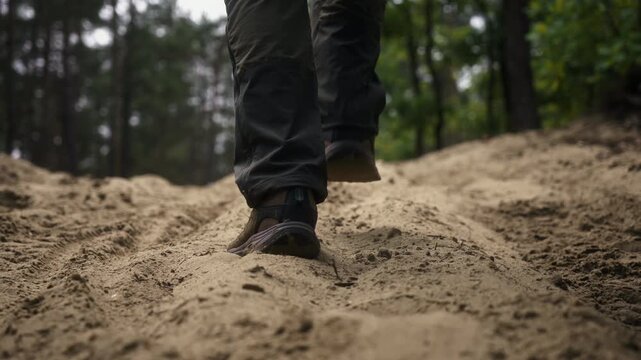 Low angle tracking shot following of man ascending deep sand path in pine woodland. Smooth gimbal movement highlighting hiking, outdoor recreation, fitness, adventure and forest travel in summer
