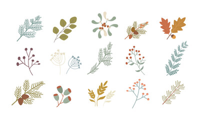 Obraz premium holly leaves design vector