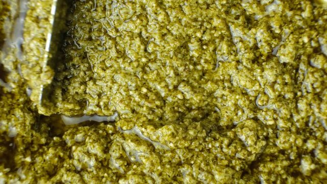Traditional Italian basil pesto background top view