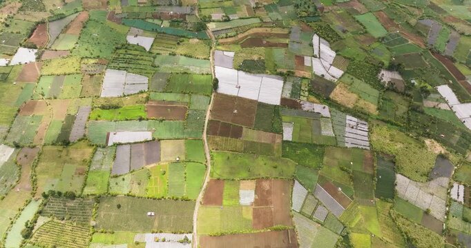 Aerial drone of tea estates and farmland in Sumatra. Kayu Aro, Indonesia.
