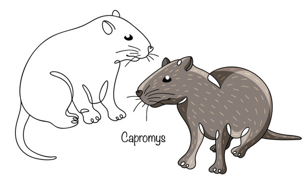 Capromys