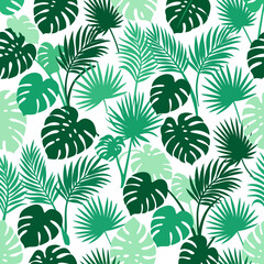 Fototapeta premium A vibrant and seamless pattern of tropical Monstera leaves