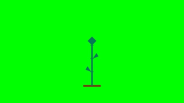 Simple minimalist plant animation featuring a flat vector design growing against a bright vibrant green screen motion video background