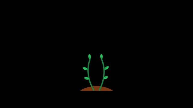 Two green seedlings sprouting from brown soil in a smooth digital animation motion video clip with minimalist flat vector style