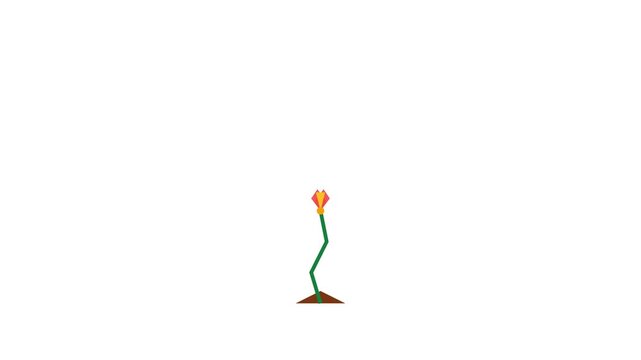 Minimalist abstract digital animation featuring a growing green plant sprout blooming into a colorful flower in this motion video clip