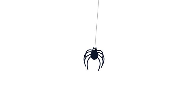 Cute black spider hanging from a thin silk thread in a minimalist white background for creepy halloween motion video animation