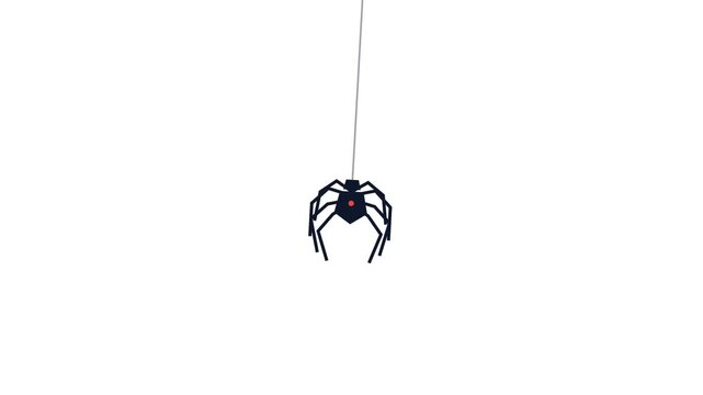 Black spider hanging from a single silk thread in this minimalist vector animation footage for digital motion graphic design projects