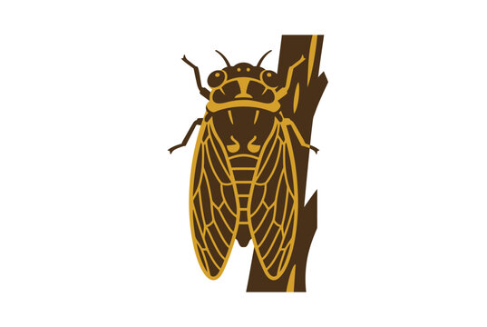 A stylized graphic illustration of a cicada on a tree branch