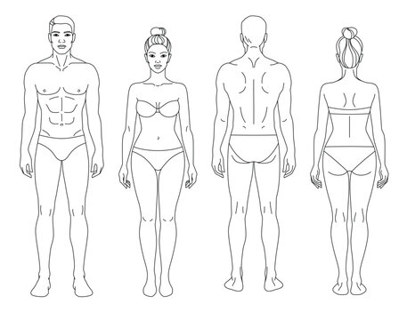 Professional male and female body anatomy templates featuring front and back views in a clean outline style. Vector human figure set designed for medical, educational, cosmetic, fitness and healthcare