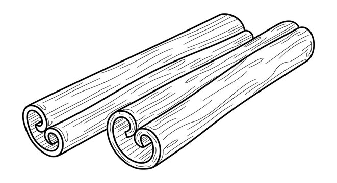 Black and White Cinnamon Sticks Arranged on Plain White Background