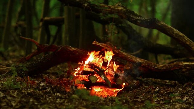 Cozy bright campfire flames flickering on wooden logs in dark forest seamless loop video with authentic crackling wood fire sound and birdsong for lofi stream and sleep aid